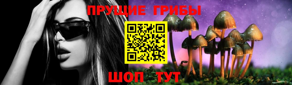 Галлюциногенные грибы прущие грибы  Псилоцибиновые грибы GOLDEN TEACHER  Калуга  Вход с VPN 