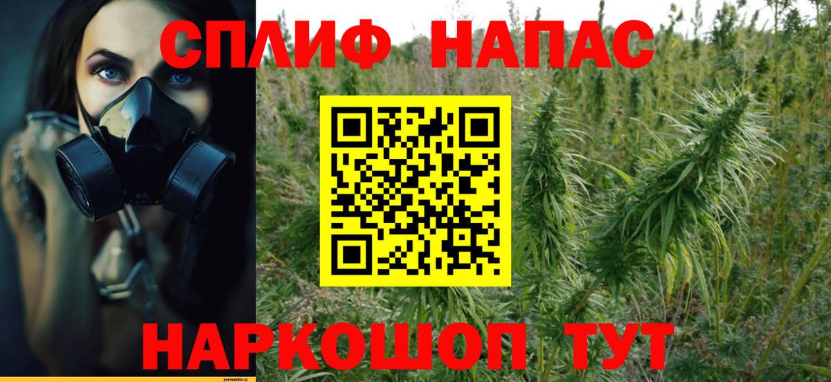 Каннабис Bruce Banner  Канабис планчик  Калуга  Бошки марихуана планчик  Вход с VPN 